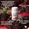 imagen-forever-therm-natural-guaraná-cafeina-vitaminas-control-de-peso