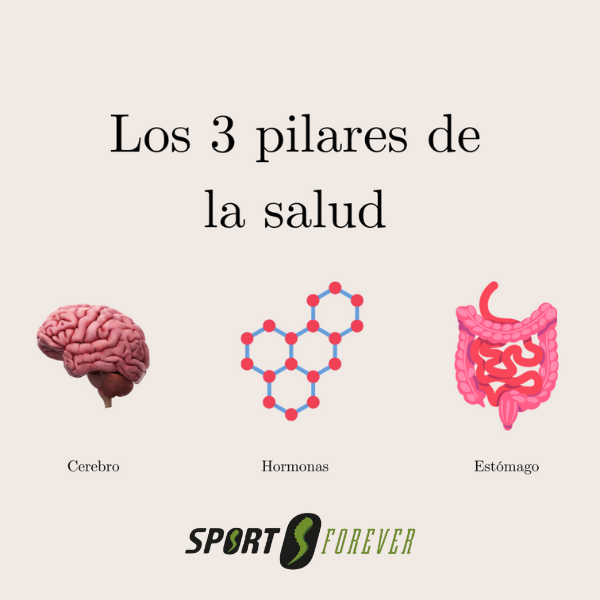 imagen-3-pilares-de-la-salud