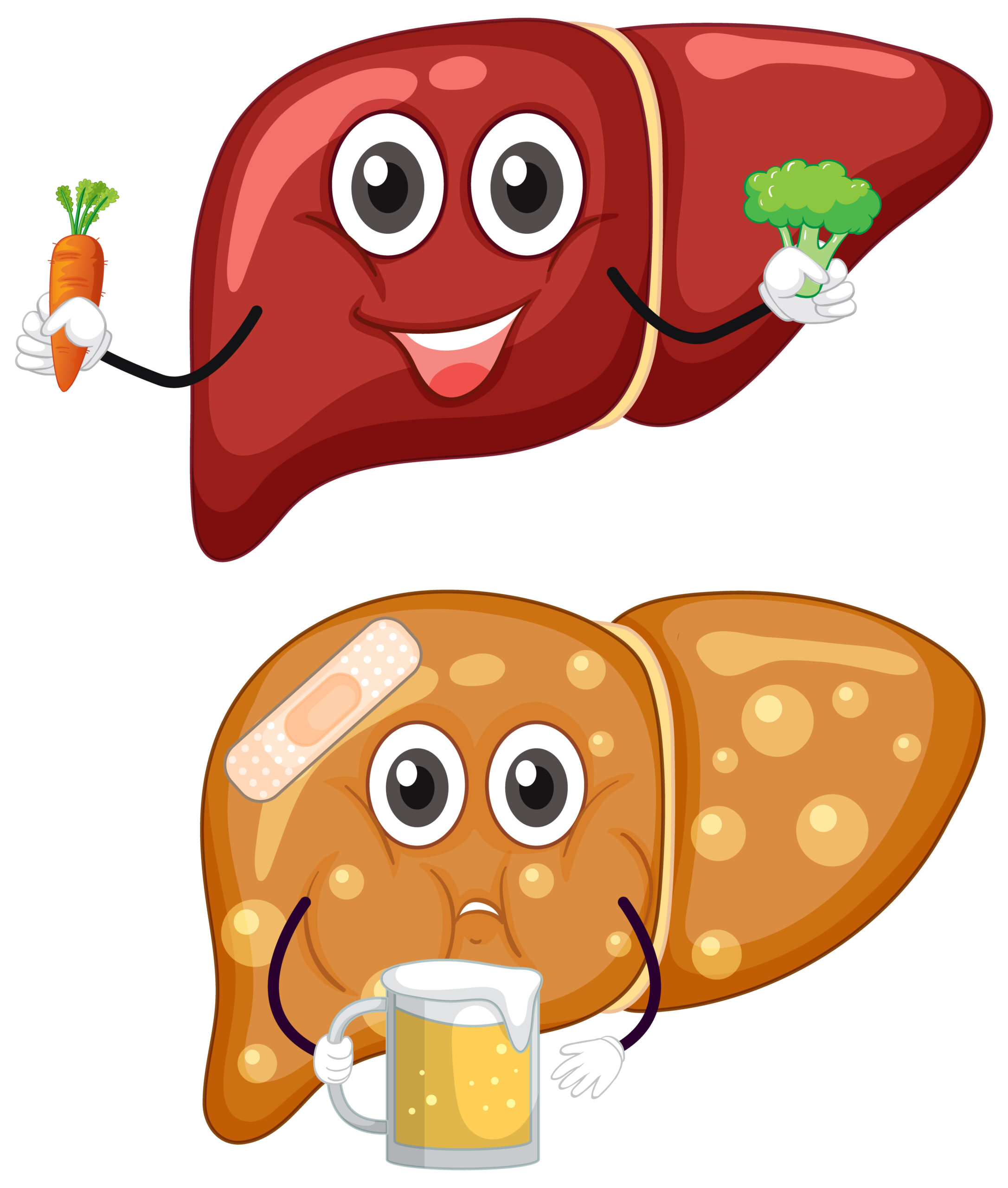 imagen-higado-sano-hígado-enfermo-tratamiento-inflamado