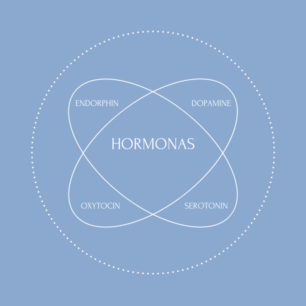 imagen-hormonas-dopamina-endorfina-serotonina