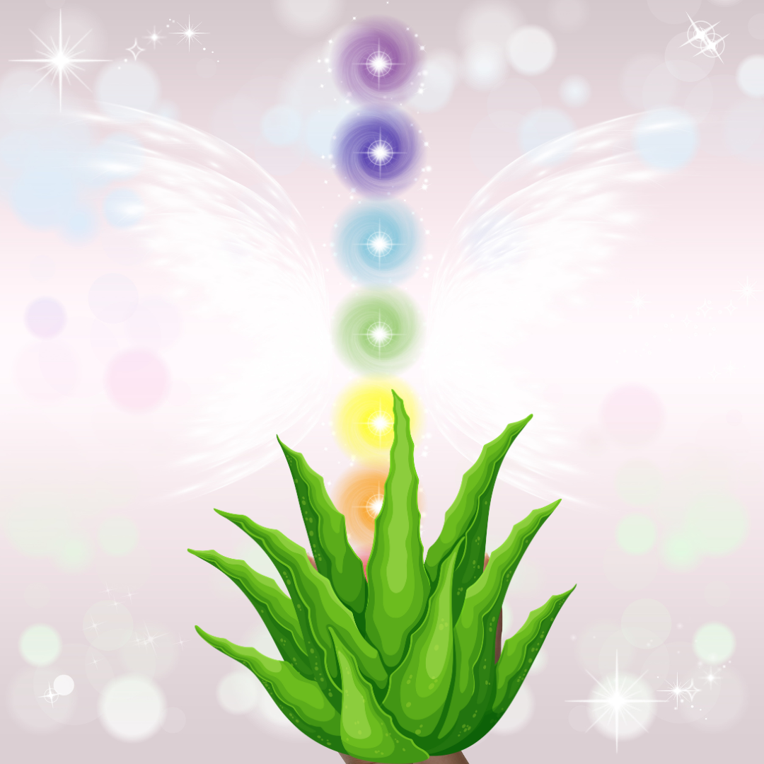 imagen-aloe-vera-reiki-yoga